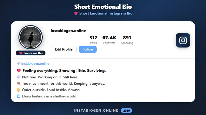 Short Emotional Instagram Bio
